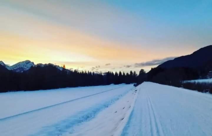 Apartments Podkoren 82 Kranjska Gora Luaran gambar